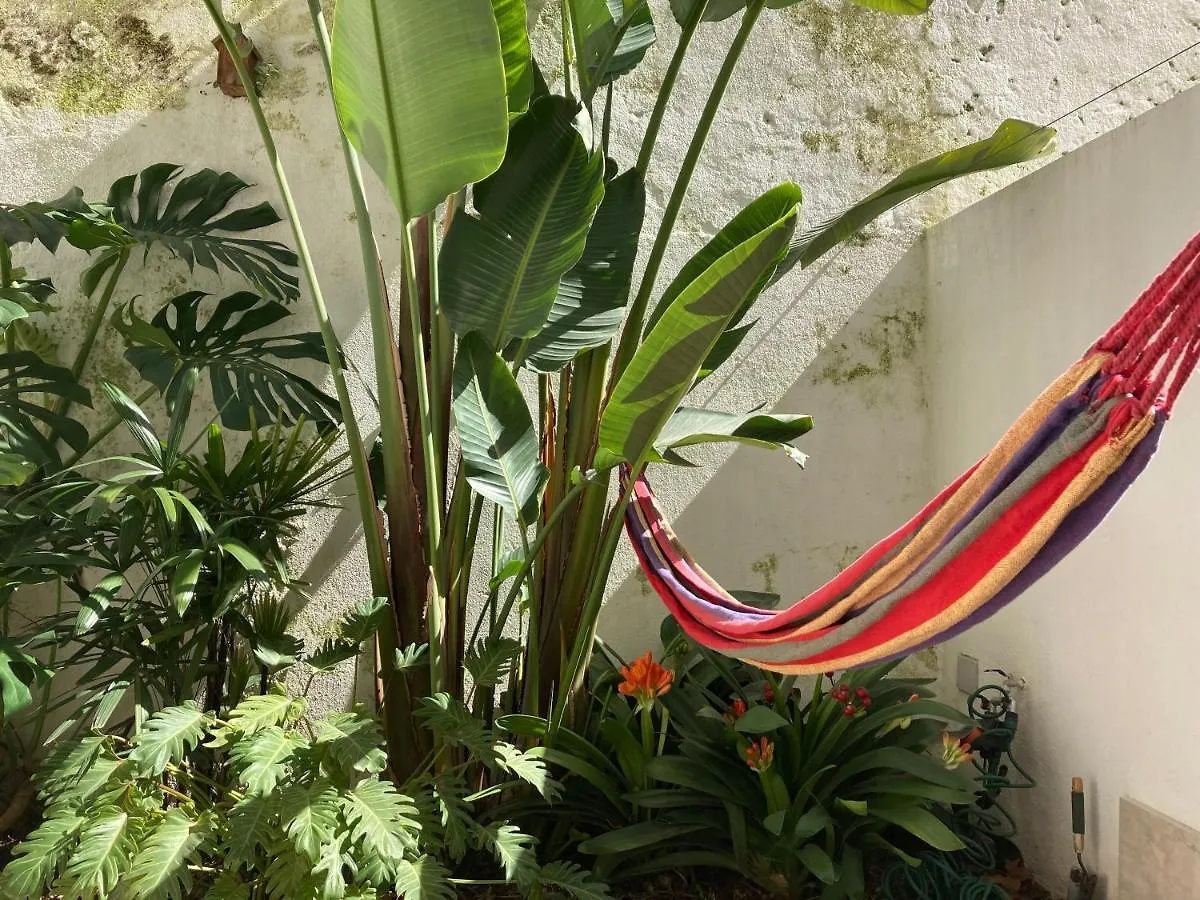 The Monkey Flat Apartment Lisbon
